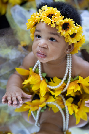 Sunflowers-11