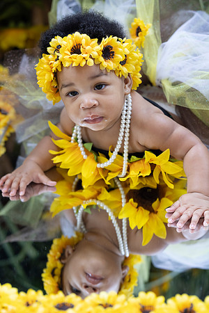 Sunflowers-5