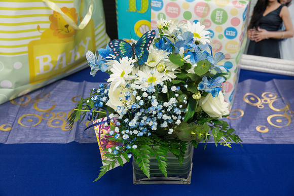 BabyShower-67