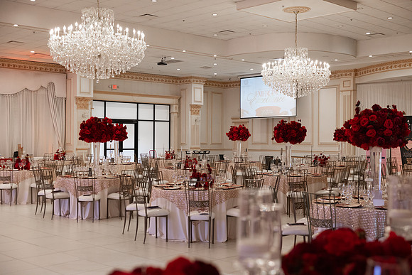 UE Presentation Ball-17