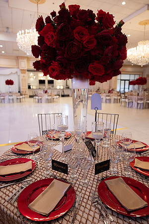 UE Presentation Ball-18