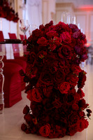 UE Presentation Ball-11