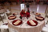 UE Presentation Ball-4