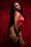 Vday-3