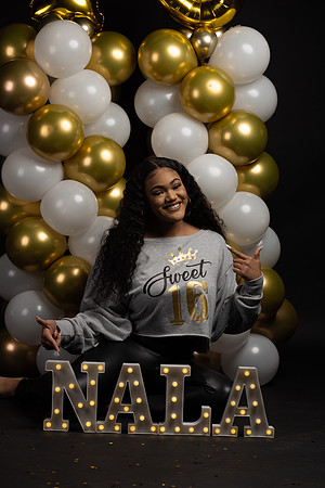 Nala-107