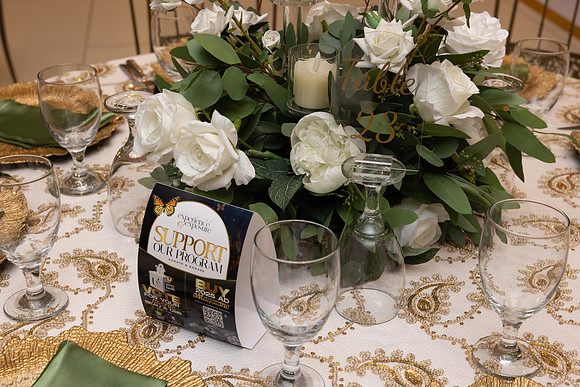 UEE_PresentationBall-3