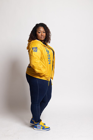 SGRho-26