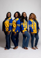 SGRho-18