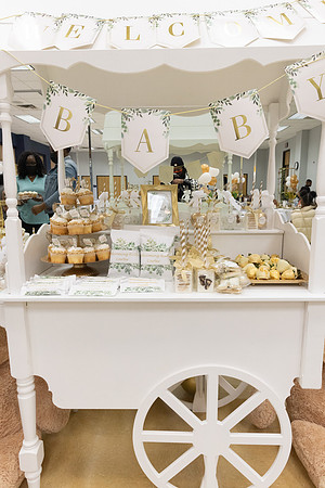 RobinsonShower-6