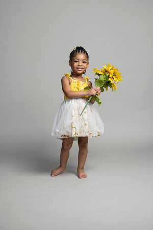 Sunflowers-28