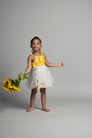 Sunflowers-23