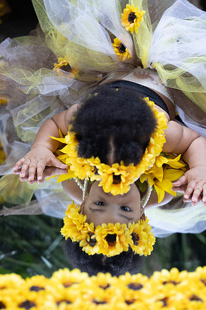 Sunflowers-3