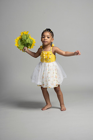 Sunflowers-17
