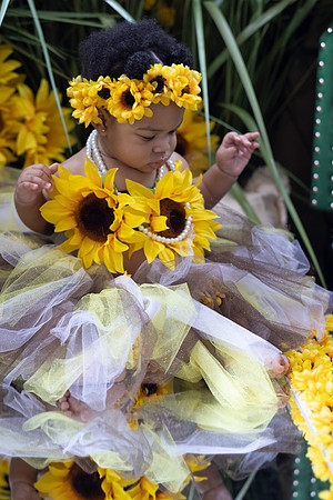 Sunflowers-14