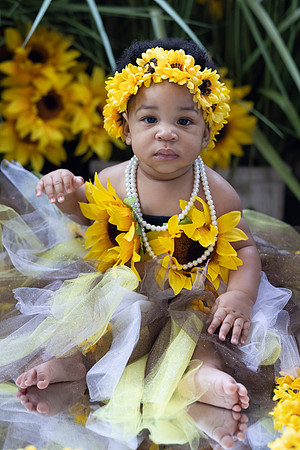 Sunflowers-13