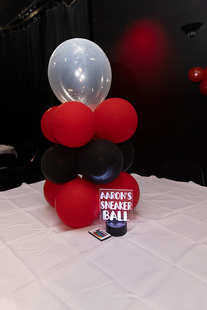 AaronSneakerball-22