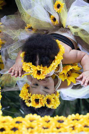 Sunflowers-2