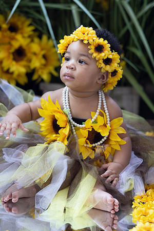 Sunflowers-12