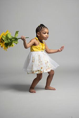 Sunflowers-16