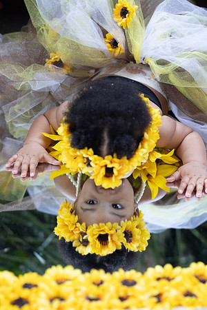 Sunflowers-4