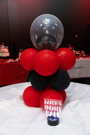 AaronSneakerball-21