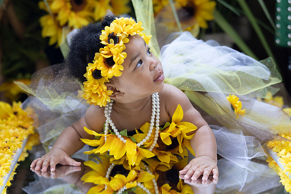 Sunflowers-8